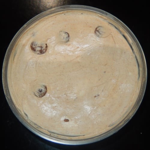 Walnut Raisin Cream Cheese 8oz.